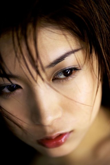 ‘华体会(中国)-华体会(中国)’盐藻精美礼盒季度装 全面补充细胞营养(图2) 华体会网页版登录入口